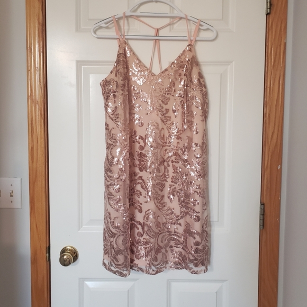 NWT Pink Sequin Dress